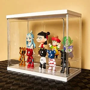 Small Stackable Acrylic Mold Display Case